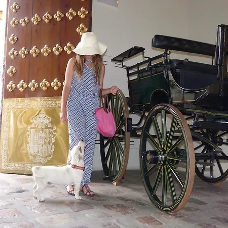 Hotel Casas De La Judería De